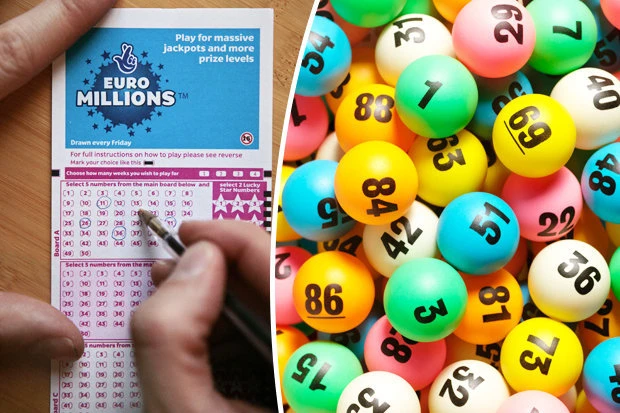 Khám Phá Thế Giới Đá Gà Trực Tiếp